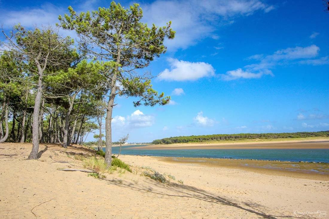 Appartement, Vue Imprenable Sur Port Talmont-Saint-Hilaire Buitenkant foto